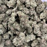 gg4-vid