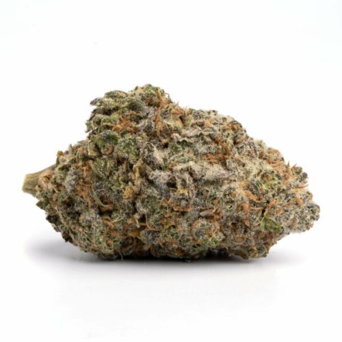 King Louie OG