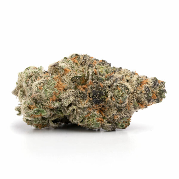 Gelato-2-600x600
