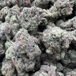 gorillacookie