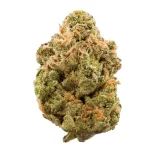gorillacookie