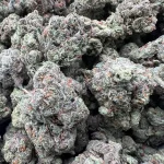 gorillacookie_25