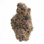 mendopurp1