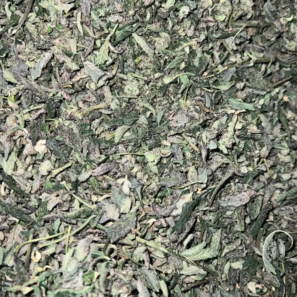 shake