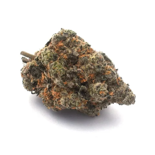 Runtz x OG Kush