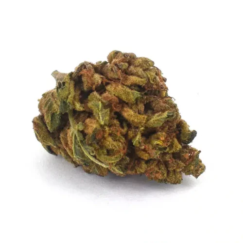 Acai Gelato