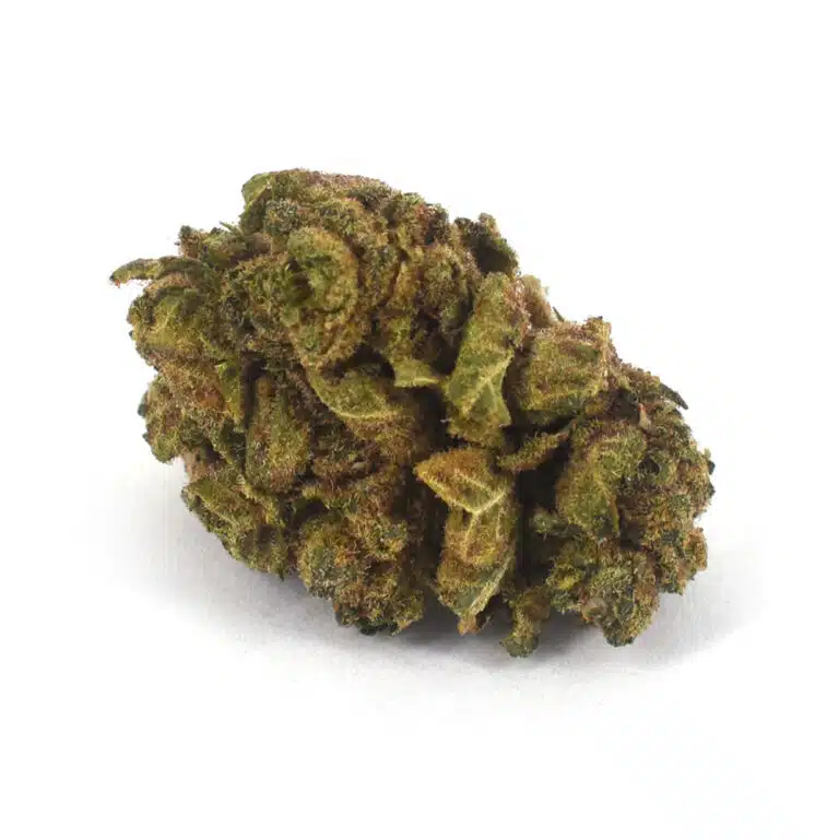 alienog