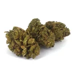 alienog3