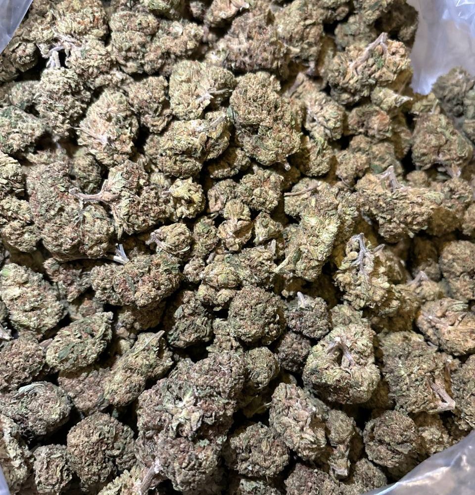 g13