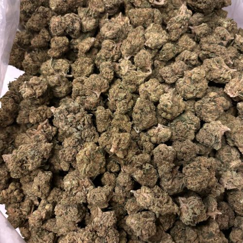 Lemon Haze