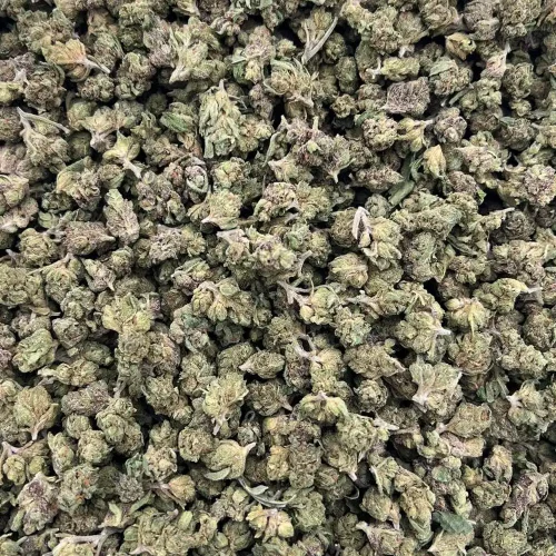 Cookie Glue Smalls