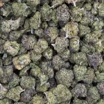 Candy Lane Smalls 2-1000x1000